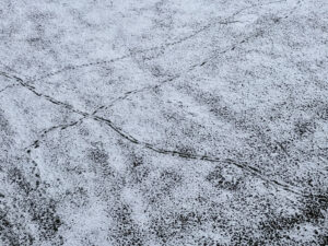 Why Rock Salt Is Still Used—Despite the Risks to Pets, Concrete, and the Environment