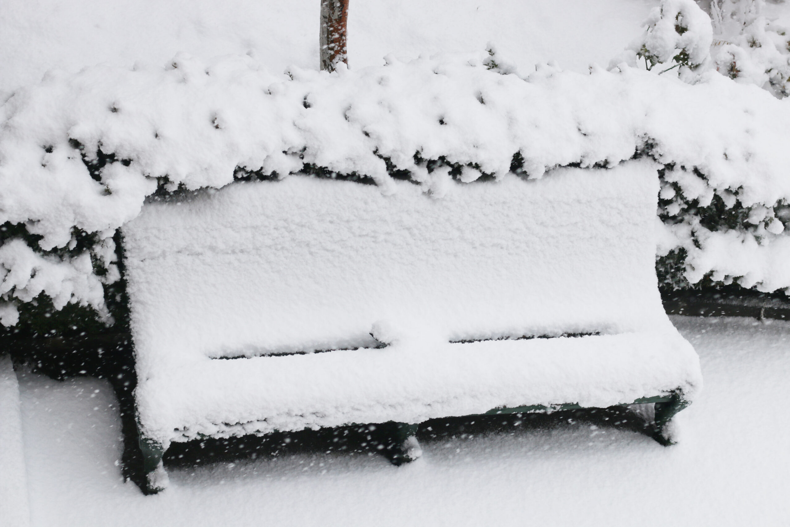 Will Safe Paw or Safe Thaw Damage a New Deck?